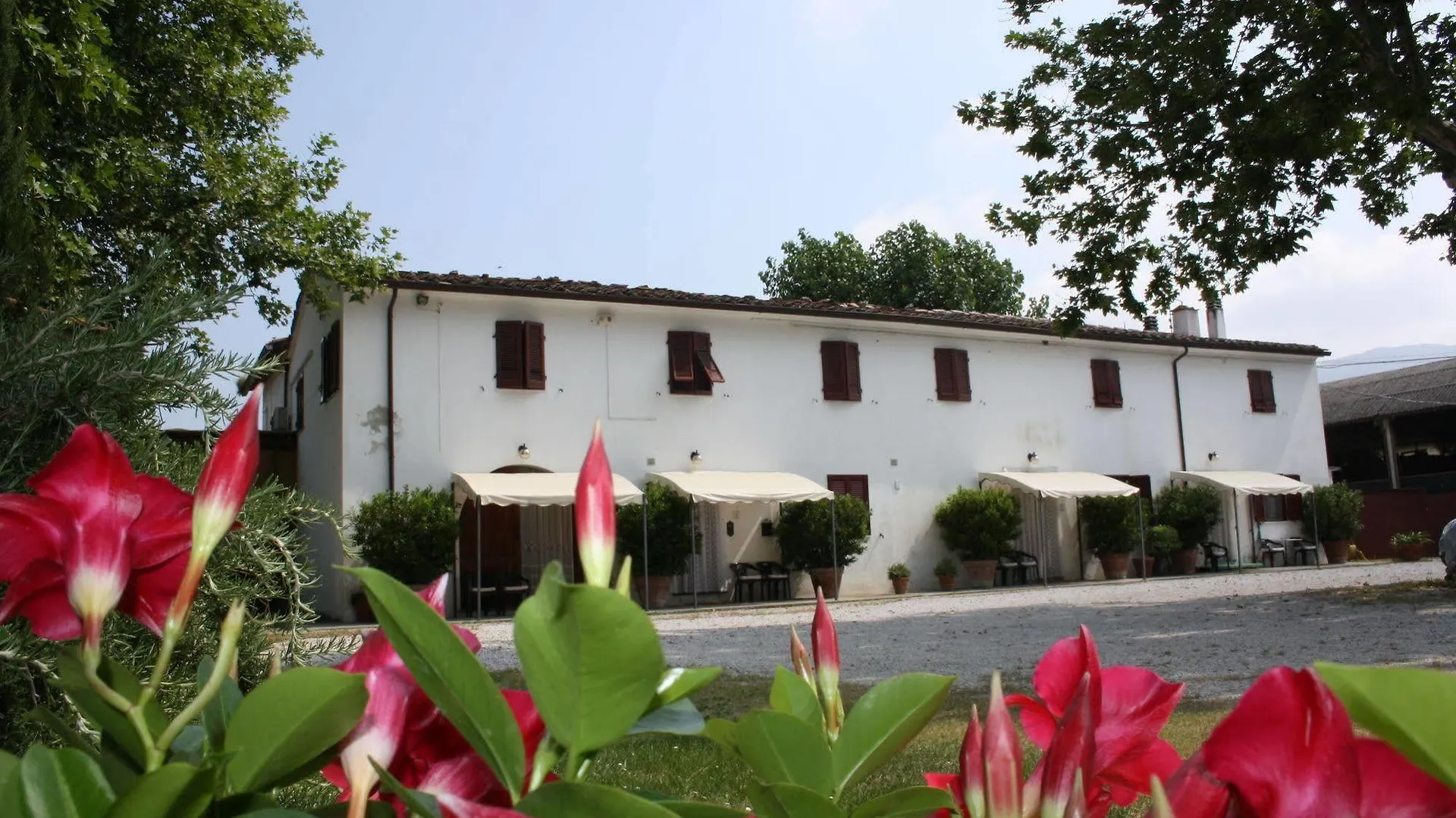 Agriturismo La Pisana